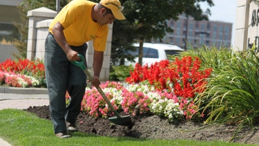 Grounds Guys worker tending to flowers.