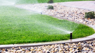 Sprinklers watering a lawn