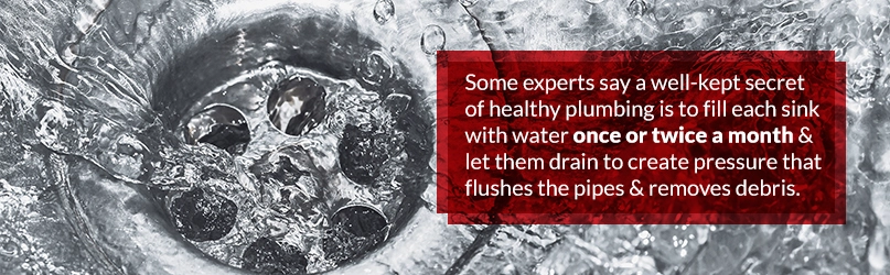 healthy plumbing secrets