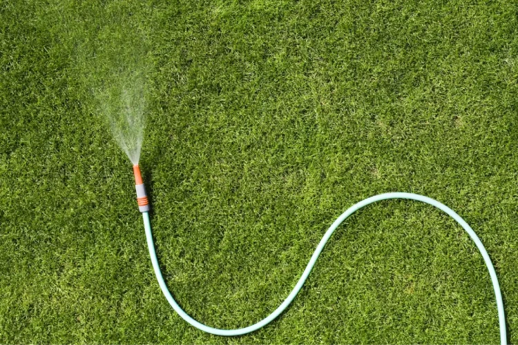 A spraying garden house laying on a lawn.