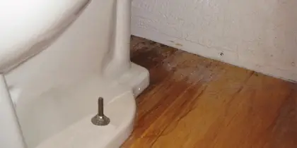 Toilet leaking at the base