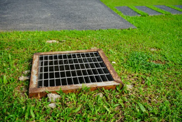 Drain Grate