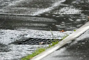 Storm Drain