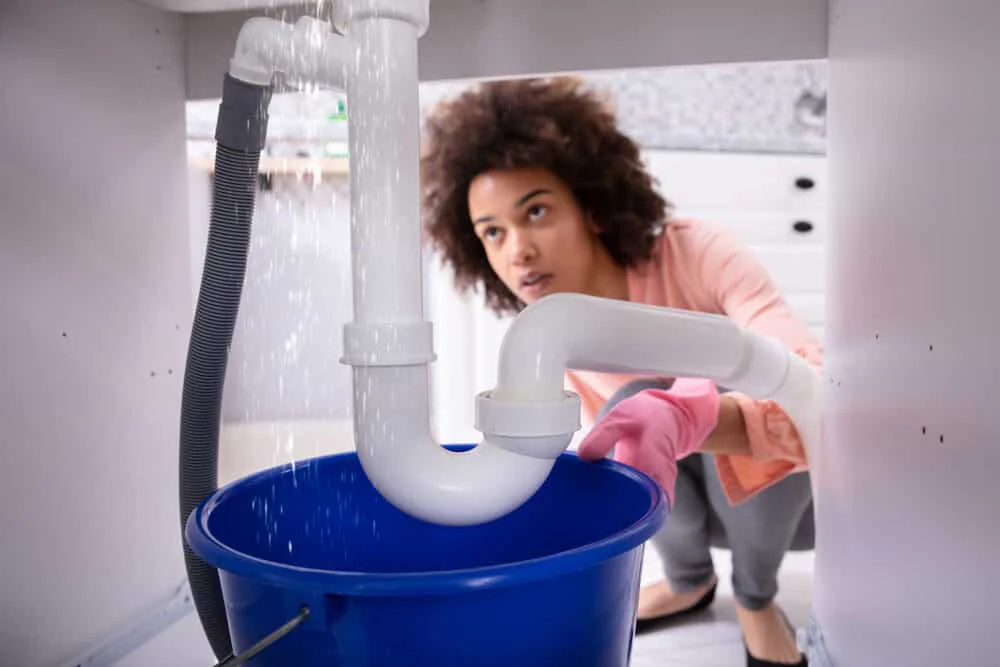 Plumbing Leak Under Sink