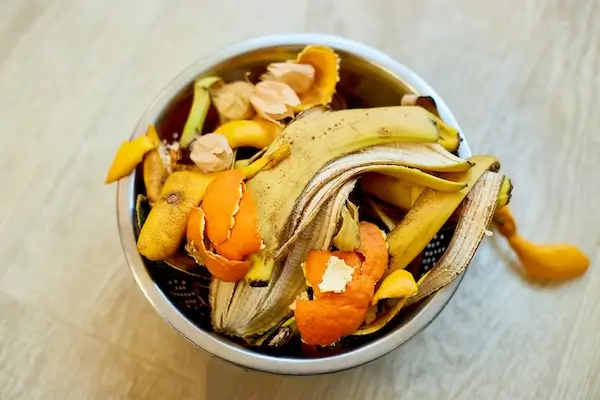 Food scraps that homeowners throw down their garbage disposals.