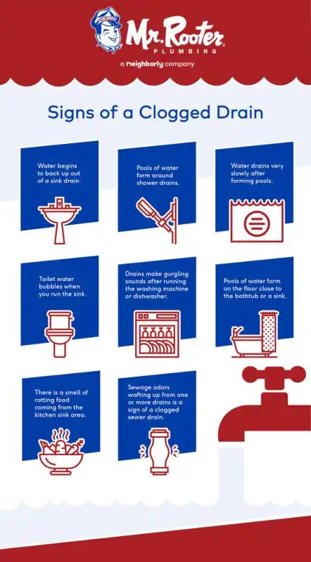 Infographic of common signs that you have a clogged drain