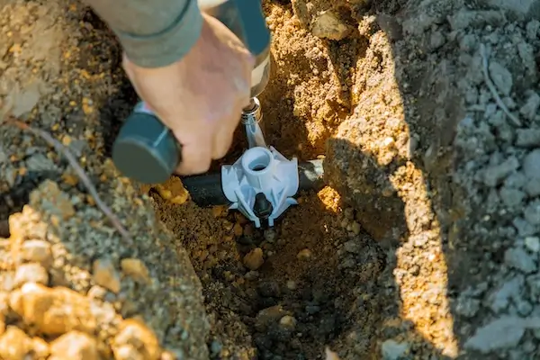 An irrigation sprinkler system expert using a tool to lay irrigation in the ground.